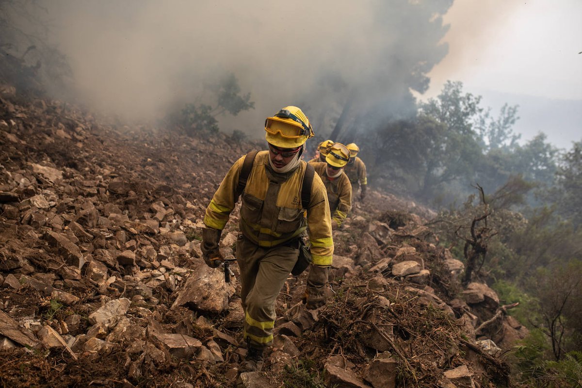 TECNIFUEGOAESPI's tweet photo. #podcast Onda Madrid #MadridDirecto entrevista a nuestro vicepresidente y portavoz, Antonio Tortosa @un_seguridad 
Soluciones que eviten los graves incendios forestales: gestión, limpieza del monte e inversión suficiente en personal y tecnologías #IIFF 
https://t.co/Rh2FzNzYX8 https://t.co/1wPVzqEImL