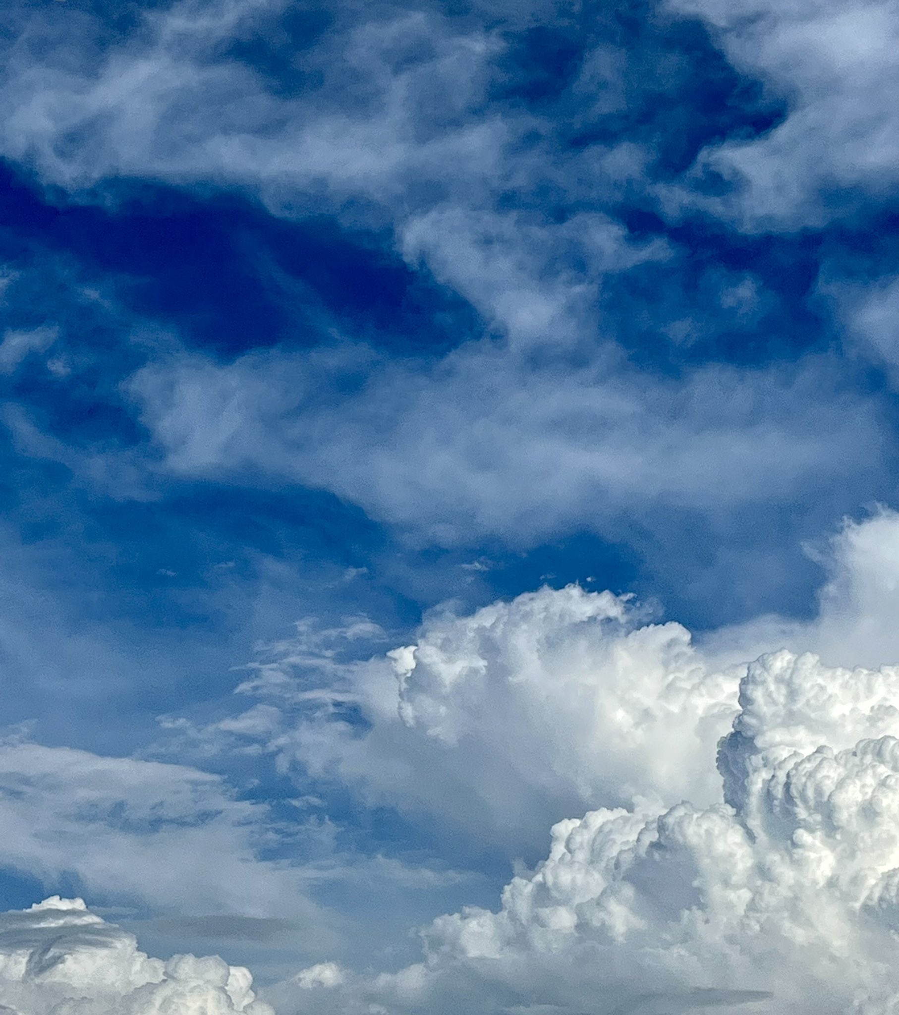 入道雲 Twitter Search Twitter