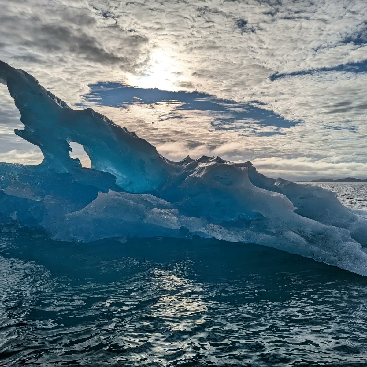 Steffan Griffiths tweet media