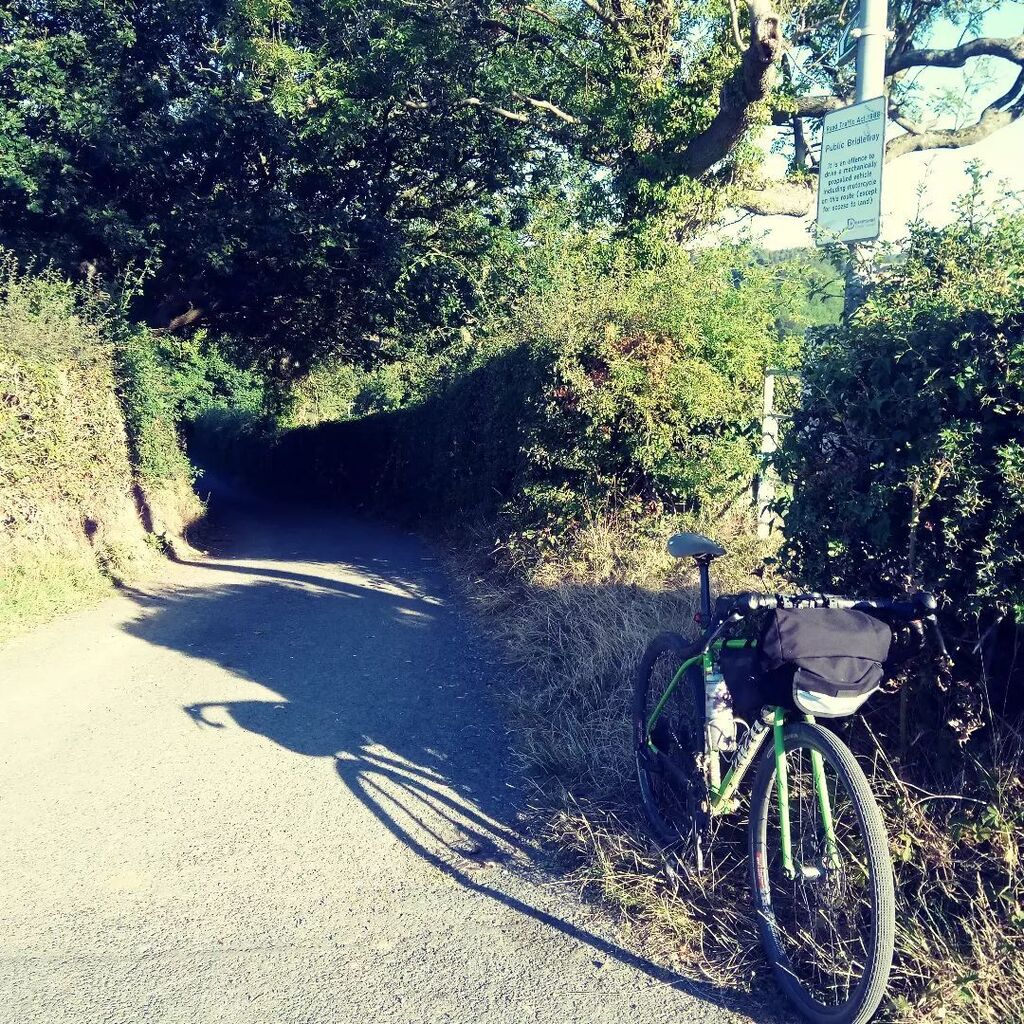 Velotastic tweet media