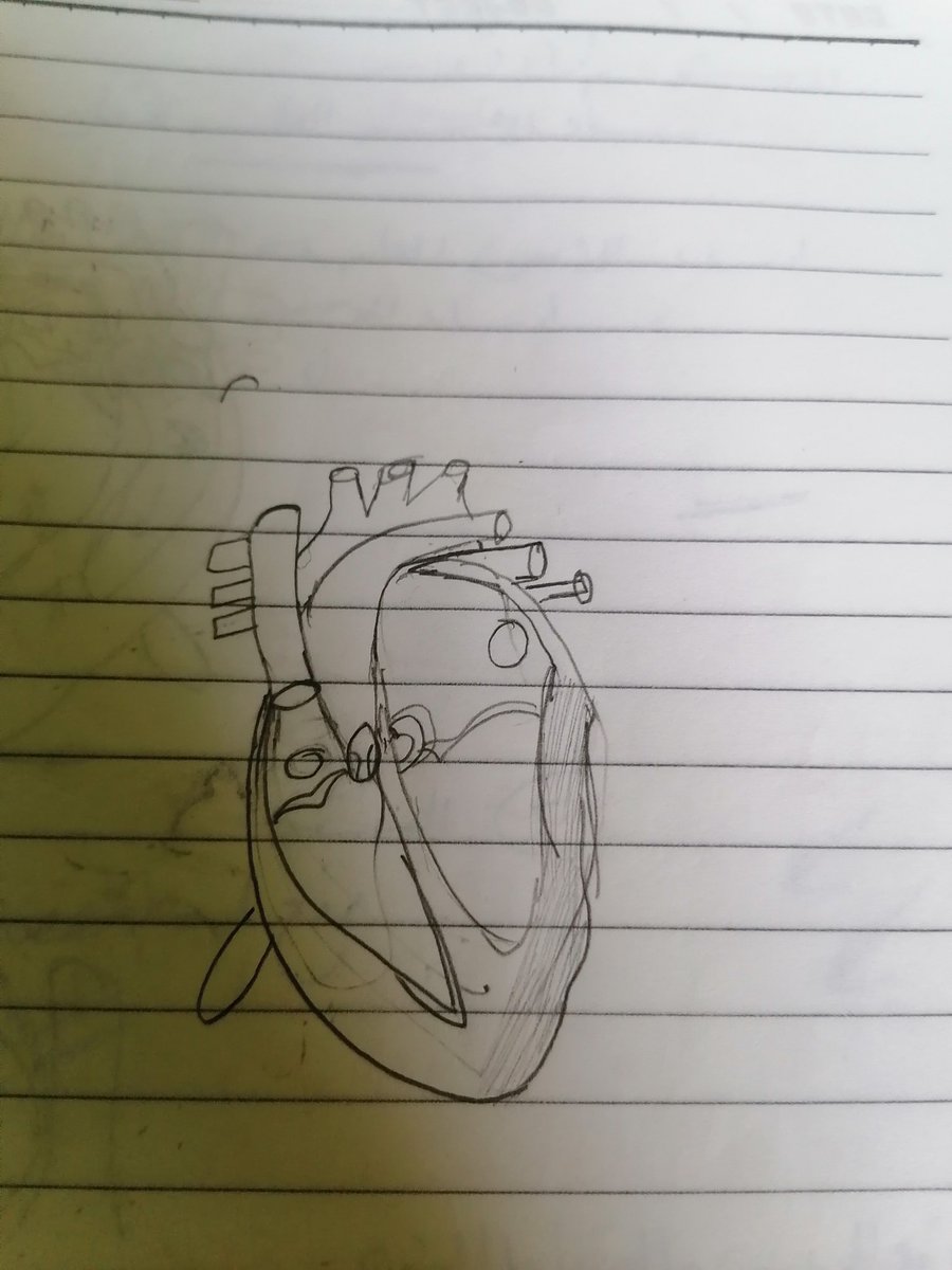 هي جايه معايا انو قلب😏😭