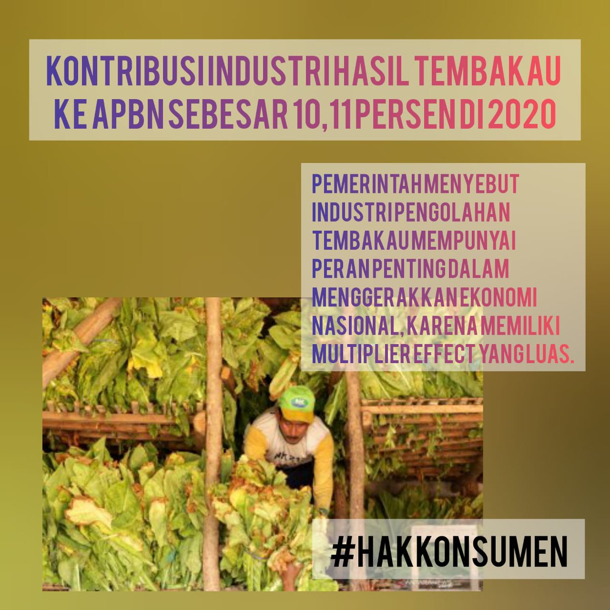 KancaneGP's tweet image. Dalam ekosistem pertembakauan, konsumen punya peran dan kontribusi yang signifikan. Ini saatnya bagi pemerintah untuk mendengarkan suara dan hak konsumen. 
@KonsumenPakta 
@amti_d19 
#hakkonsumen