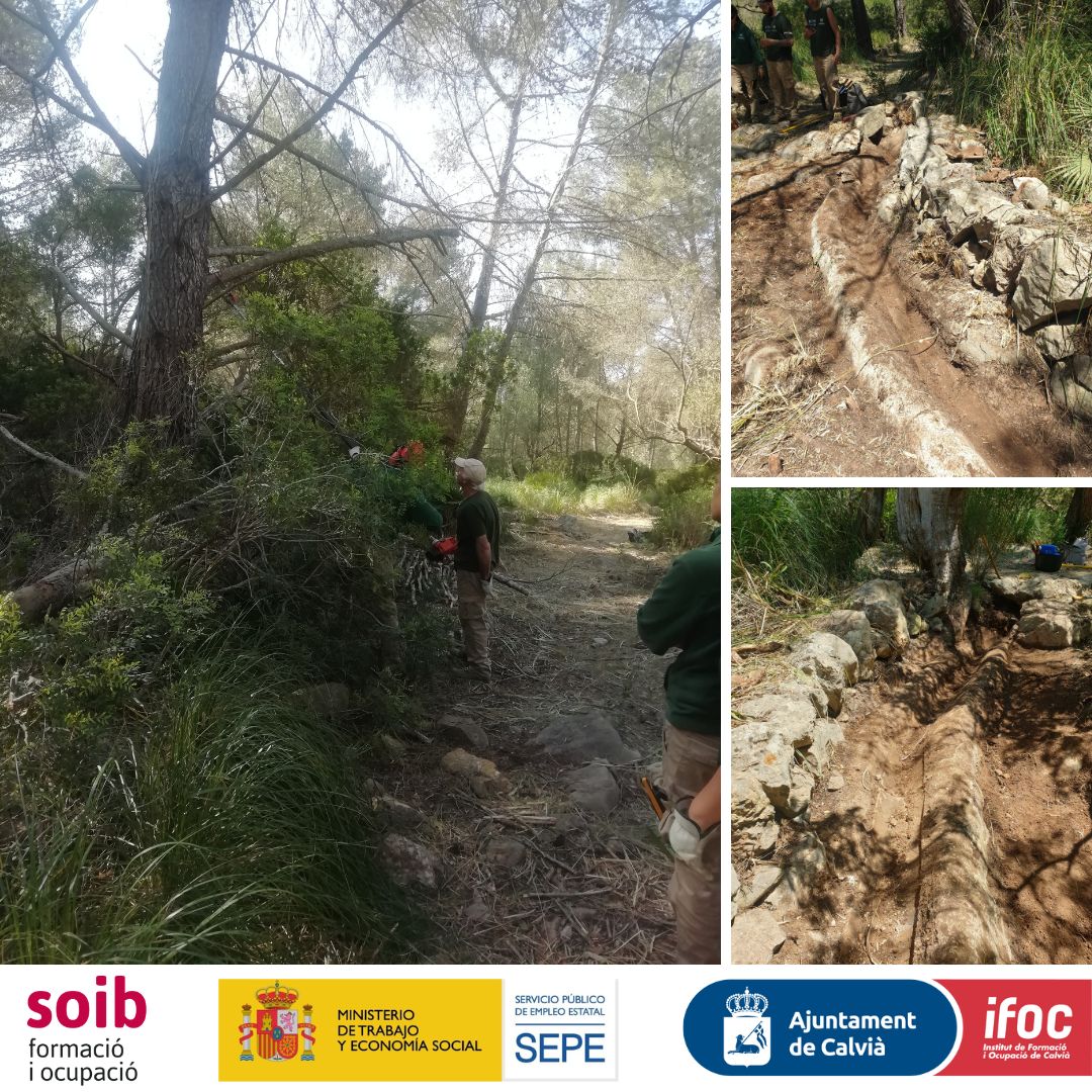 ifocalvia's tweet photo. Descobriment d’una síquia, que abastia d’aigua a les cases de Galatzó, per part de l’alumnat-treballador Bosc de na Morisca mentre executaven les tasques forestals per ampliar i obrir una ruta circular al Camí vell de les Sínies. 

#SOIB30ProgramesMixts #SOIB30 https://t.co/z0tpt49cjd