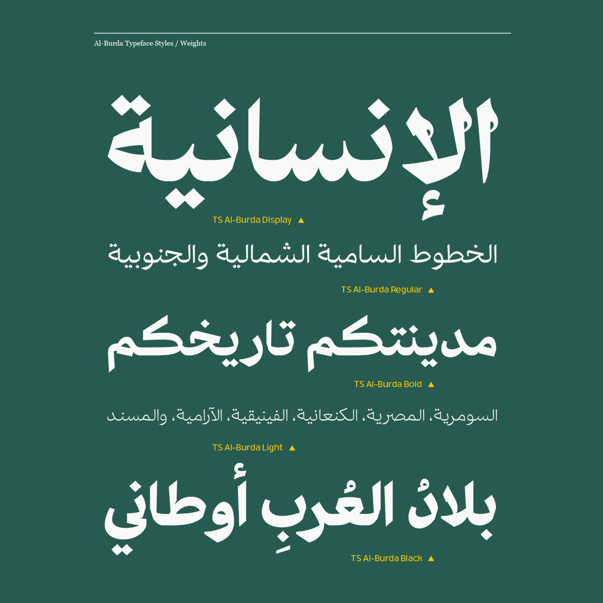 TS_fonts's tweet photo. خط البُردة
5 أوزان
رابط الشراء https://t.co/4cz1v9N3Vk
.
#Alburda_font #Alburda_typeface #arabictypography #arabictype #typography #lettering #typedesign #nonlatin #arabicfont #arabictypeface #Display_font #خط #الخط_العربي #خط_عربي #تايبوغرافي #خطوط_عربية #حروف #خطوط https://t.co/OhivrIwJmS