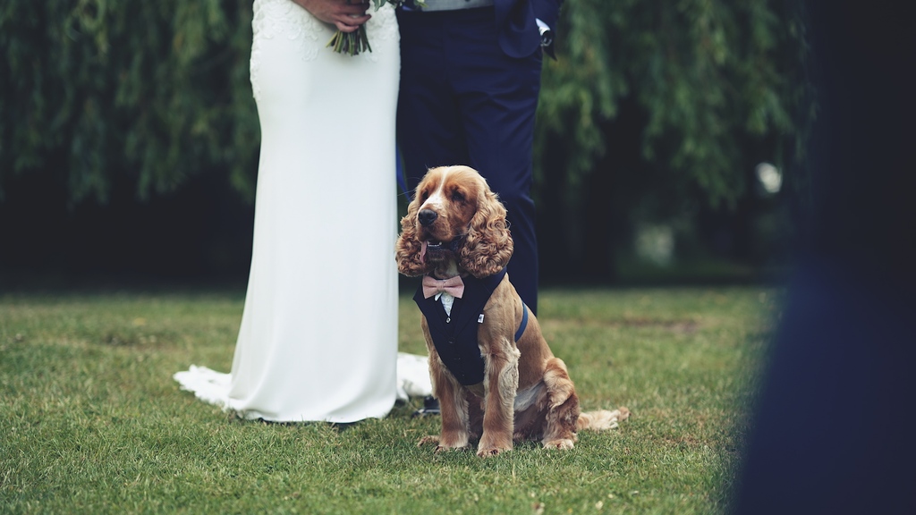 Georgina + Kye (+ Percy) / Blake Hall
⁠
venue: @blake_hall_weddings
photographer: @thesallyrawlins
mua: @lacharlemagne.mua
hair: @weddinghairboutique
florist: @littletinshedflowers
DJ &amp; lighting: @lovelighters
musician: @tonykroberts