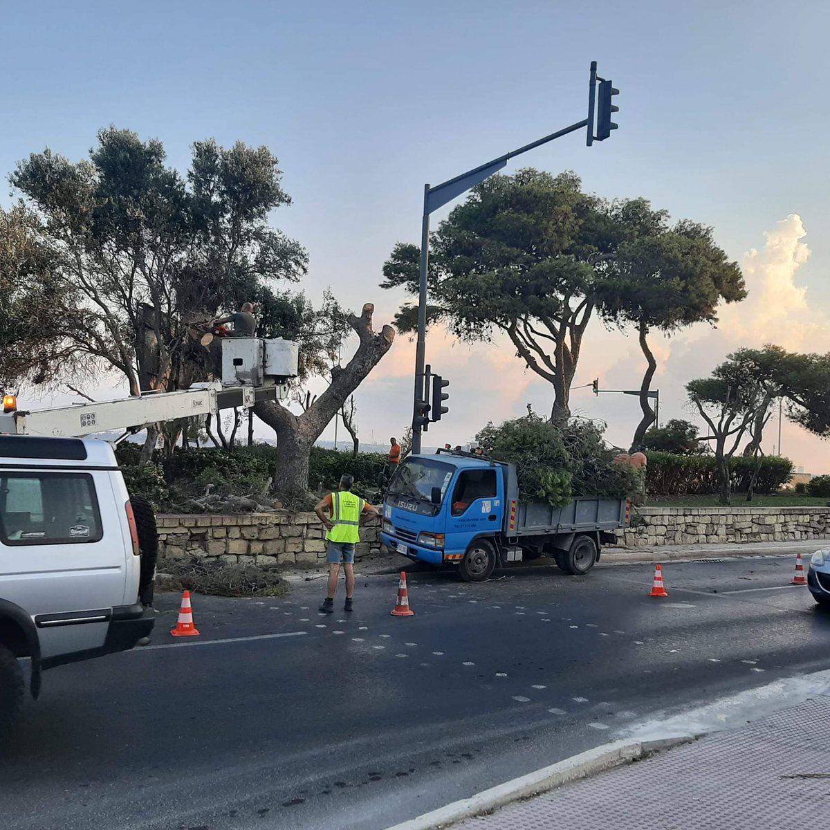 ArnoldCassola's tweet photo. Haz-Zebbug this morning

  The butchering of trees. https://t.co/hLVGaXOkx7
