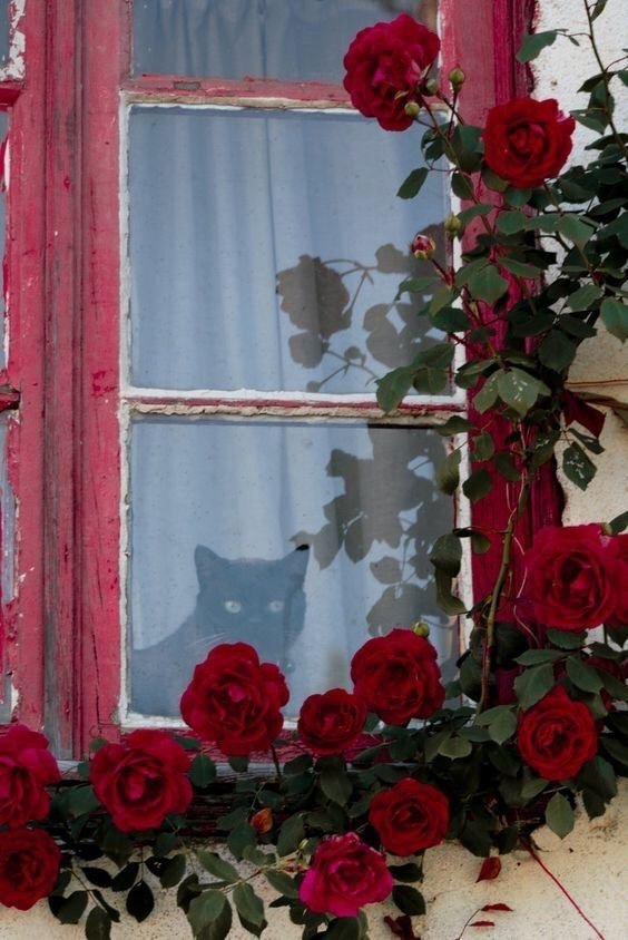 <a href="/DarrellLogan/">formerly known as DL</a> <a href="/LyndaGStevenson/">Lynda</a> <a href="/MichiWils/">Michi Wilson</a> Happy days, peace and love. Hugs