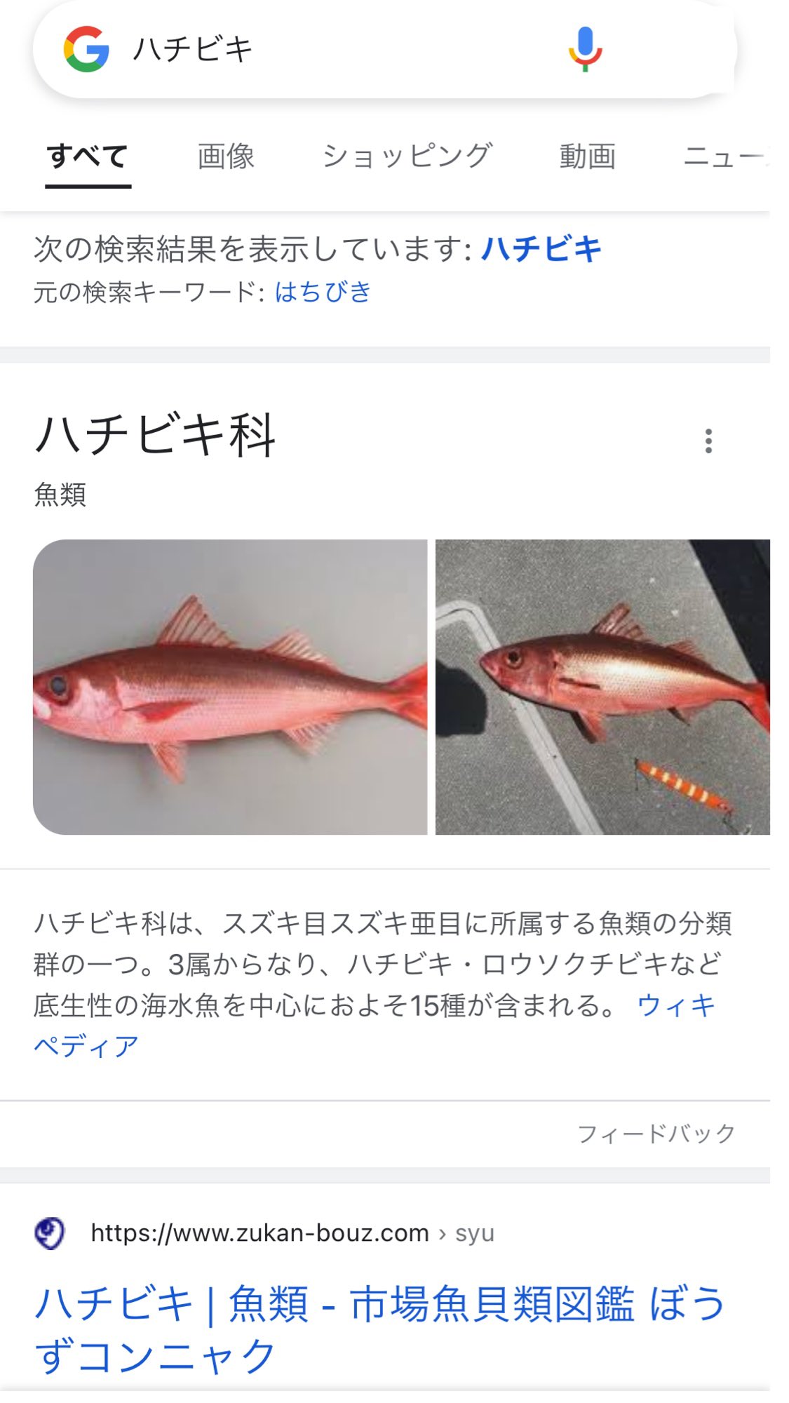 大衆居酒屋つなみ 273tsunami Twitter