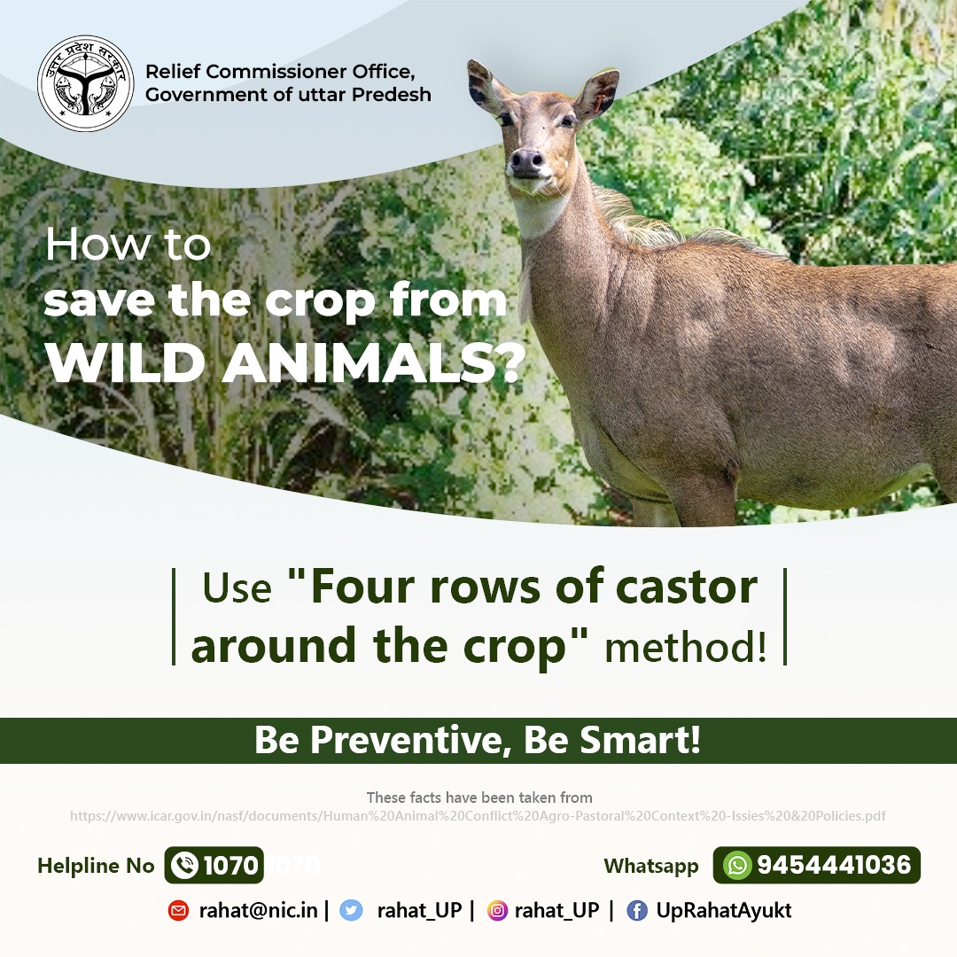 rahat_up's tweet photo. How to save the crop from Wild Animals ?
#wildanimal #humanwildconflict #drought22 #restorewater #watersafety #flood #staysafe #StayHome #prepration #savelife #Planning #daminiapp #river #daminiapp #Lightning
@NDRFHQ @ndmaindia @sdrf_up @ranvirprasad
@GoupRelief https://t.co/WegXY3HG2O