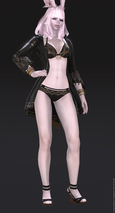 かわいすぎて街を歩くと人だかりができて交通規制されてしまうな 