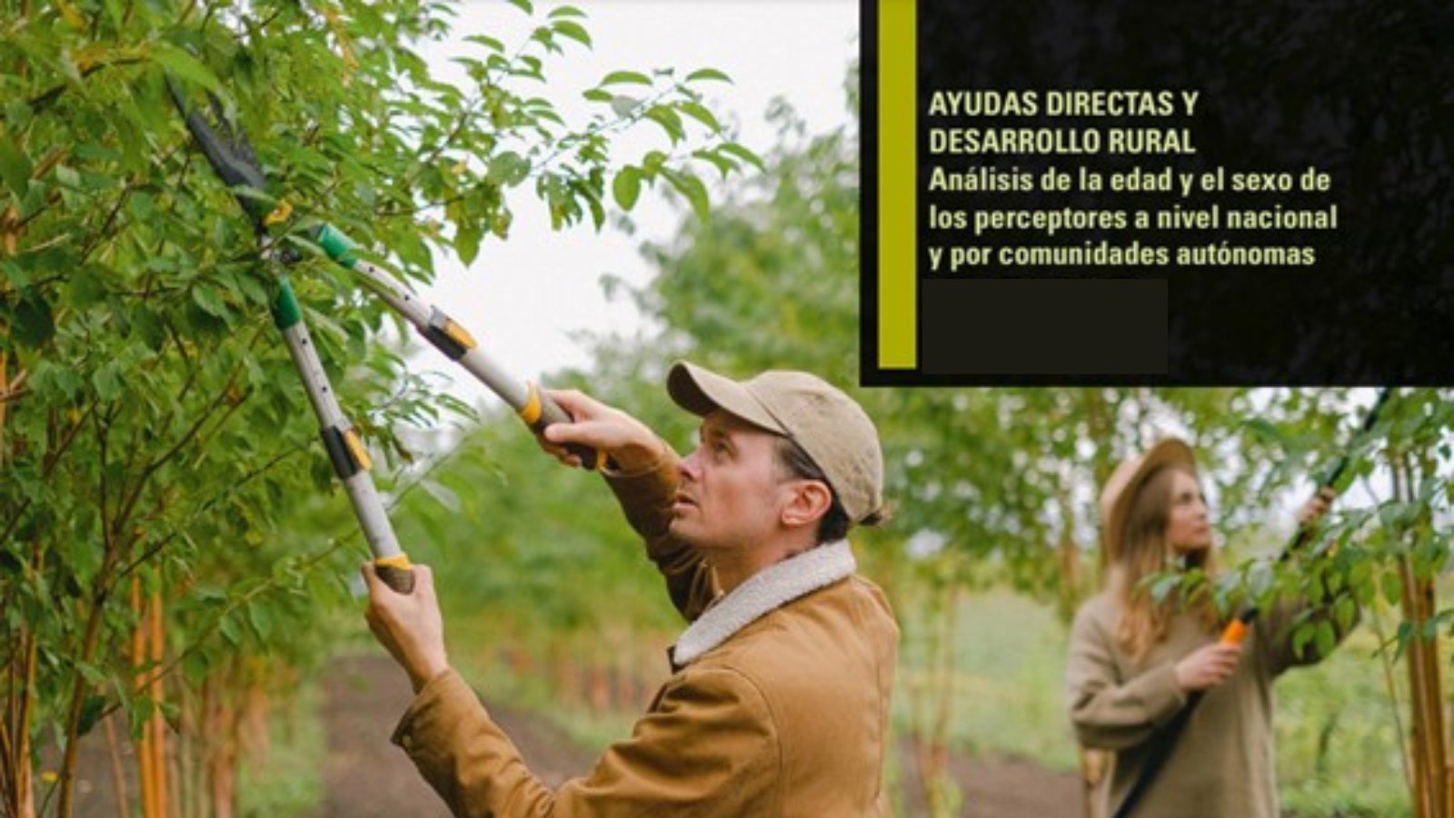 De fondo, n agricultor y una agricultora podan las ramas de pequeños árboles. Hay un texto sobre la foto que dice: Ayudas directas y Desarrollo rural. Análisis de la edad y el sexo de los perceptores a nivel nacional y por comunidades autónomas. 