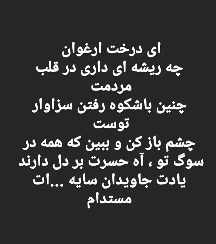 Nahid (@nahid98542568) on Twitter photo 