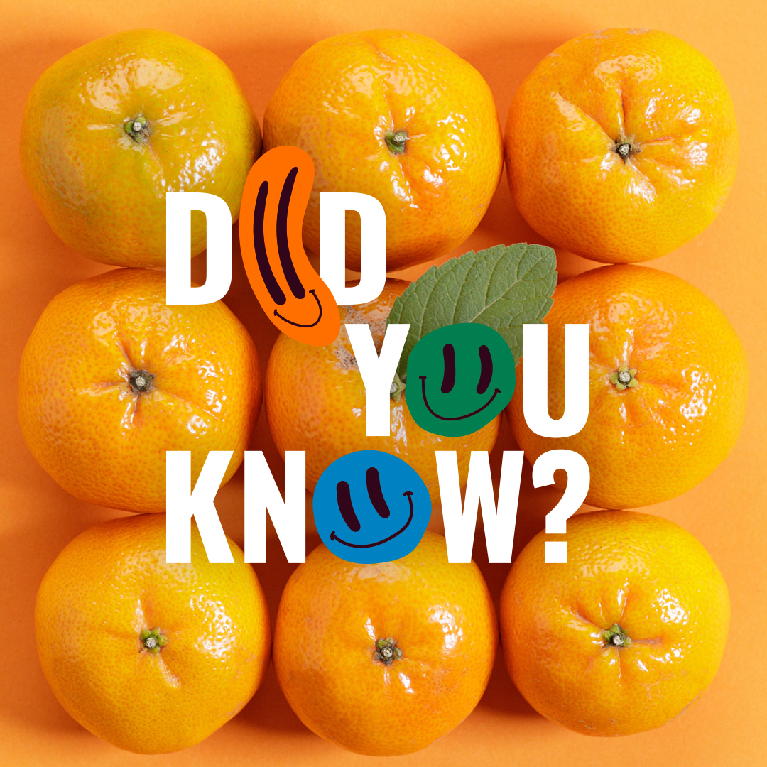 In this month’s Did You Know blog, we investigate the true origins of motion pictures and marvel at some fantastic creations currently gracing Times Square's iconic billboards. 

ow.ly/q4Iw50KeLFL

#creativity #inspiration #elasticthinking
#whoknew #didyouknow #newblog
