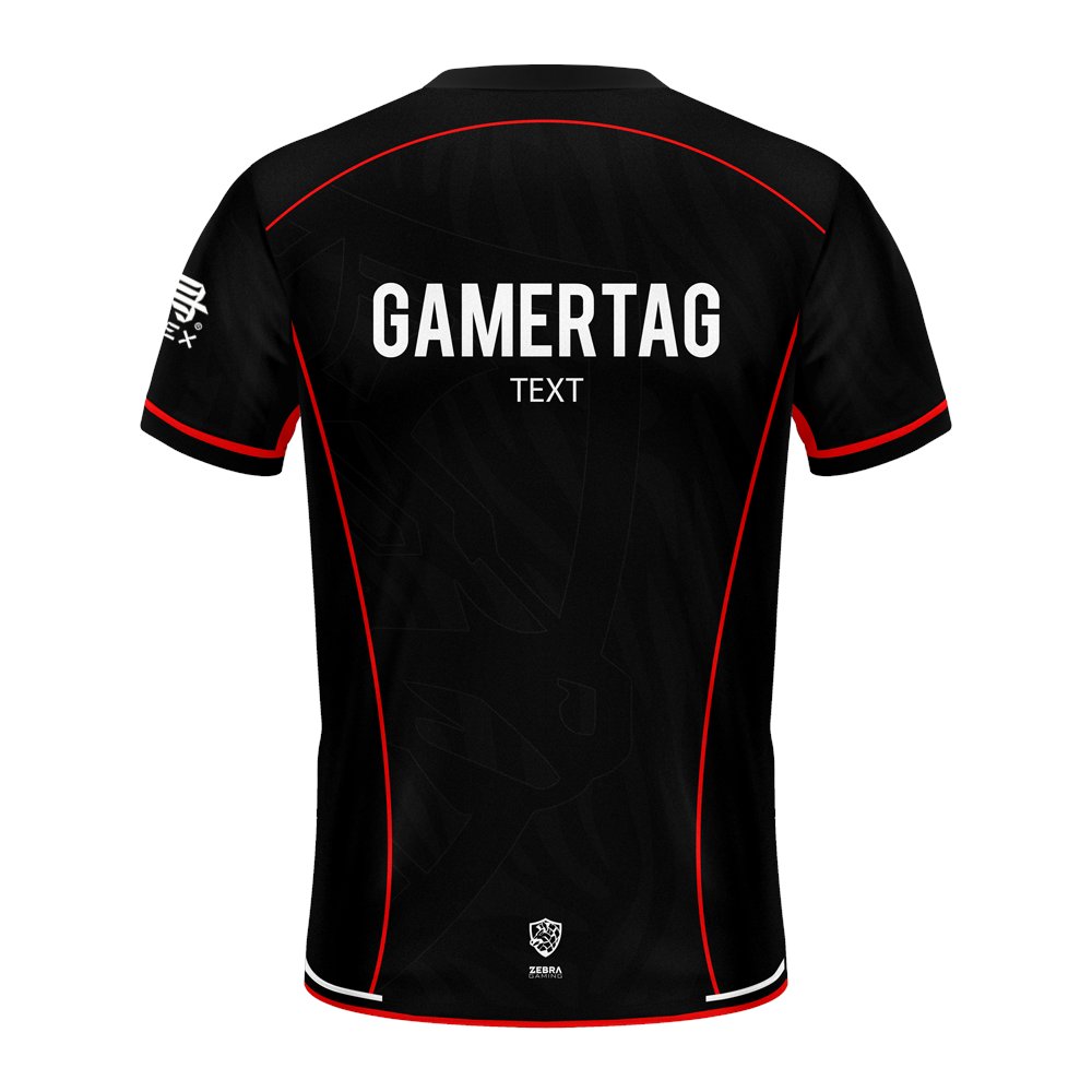 ZeBra Gaming tweet media