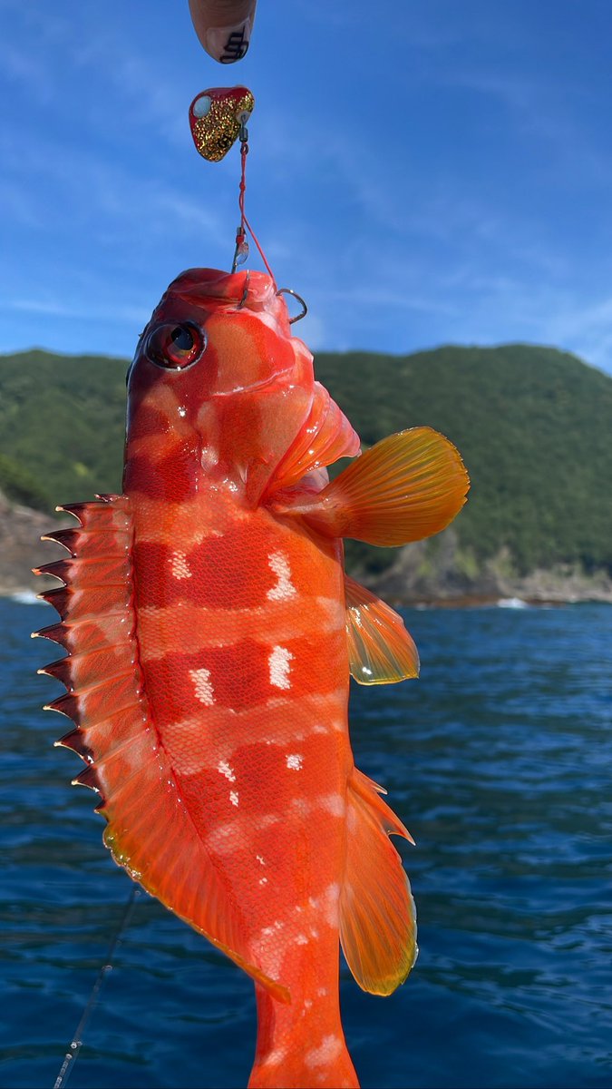 3ways_k's tweet photo. 最近釣りばっかりしてる https://t.co/GrT414SbQN