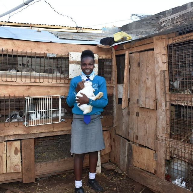 step_iita's tweet photo. This is Grace a #STEPChampion. She keeps #rabbits at home. Apart from the training she receives from school, she is being mentored by agriculture teachers. They also provide guidance for her home enterprise. 

#agriculture #agribusiness #rabbits #FARM #FarmLife #fun #goodmorning https://t.co/gAQ0Vx8dAZ