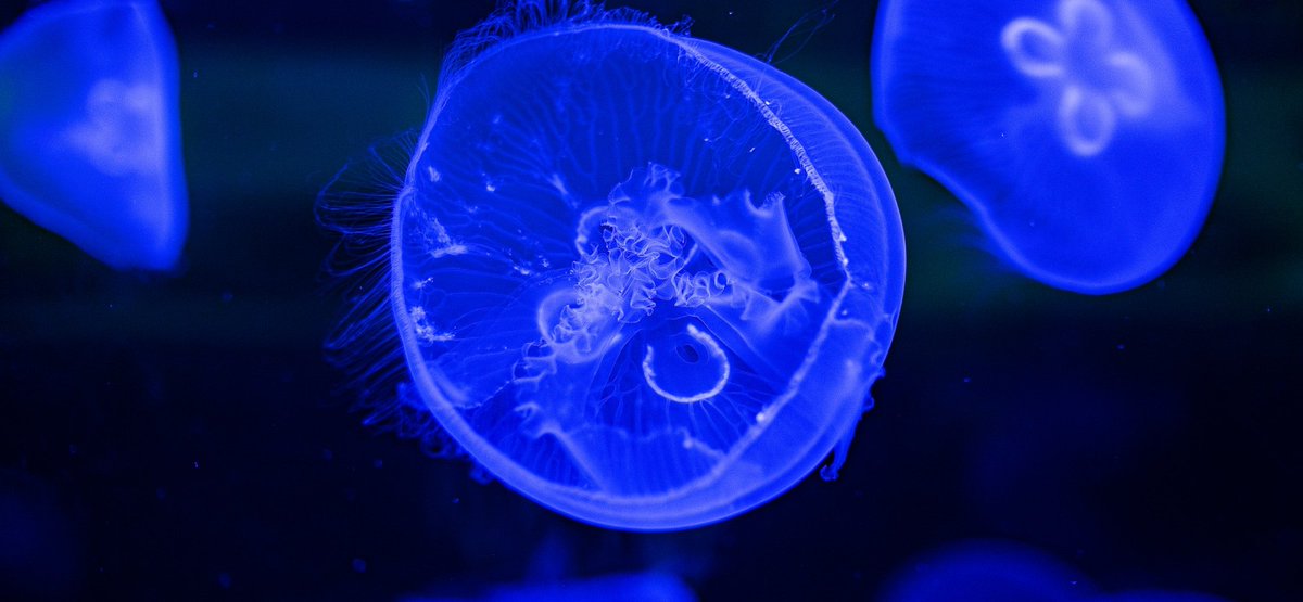 Faculty of Bioscience Engineering UGent tweet media