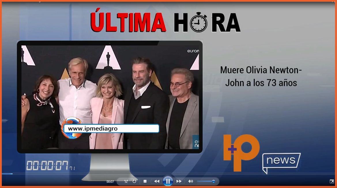 IP Televisión Digital tweet media