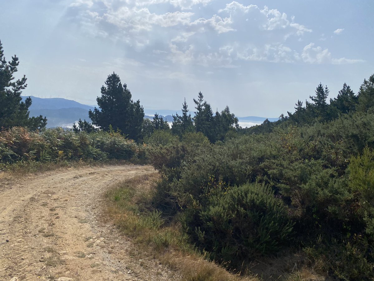 t_hersche's tweet image. Sehr, sehr steil ist die Route von Freixo nach Carnota Inland