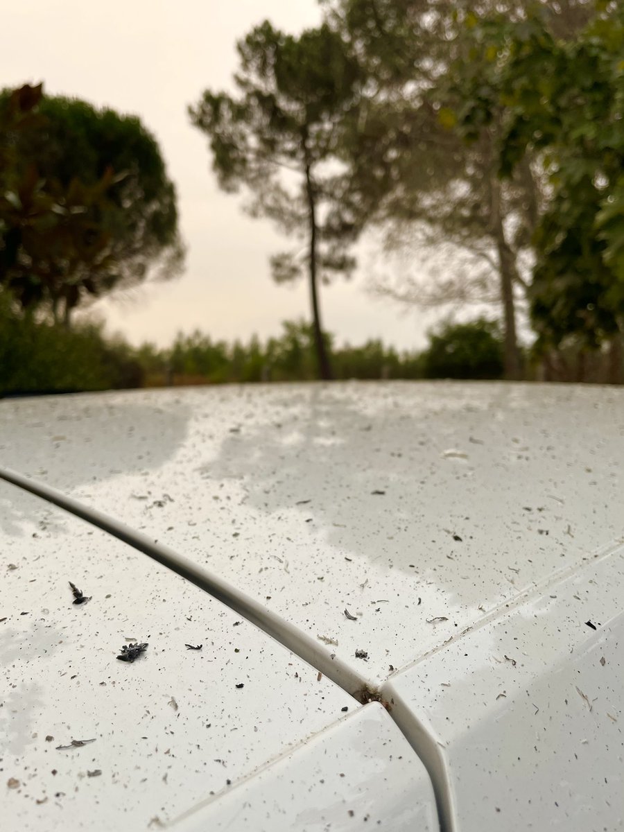 Le ciel est chargé de fumée au dessus du Lac de Sanguinet.
Les cendres continuent de tomber…
#Gironde #Landes #incendie