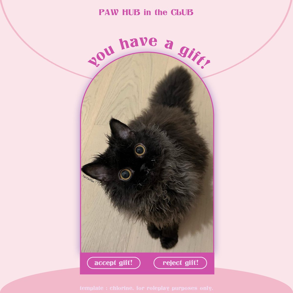 ₍ᵔ•ᴗ•ᵔ₎ tweet media