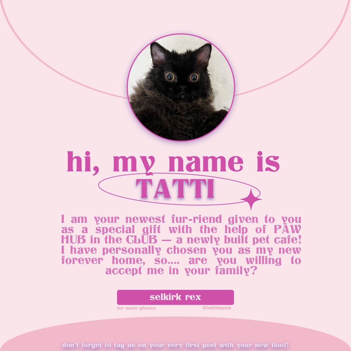₍ᵔ•ᴗ•ᵔ₎ tweet media