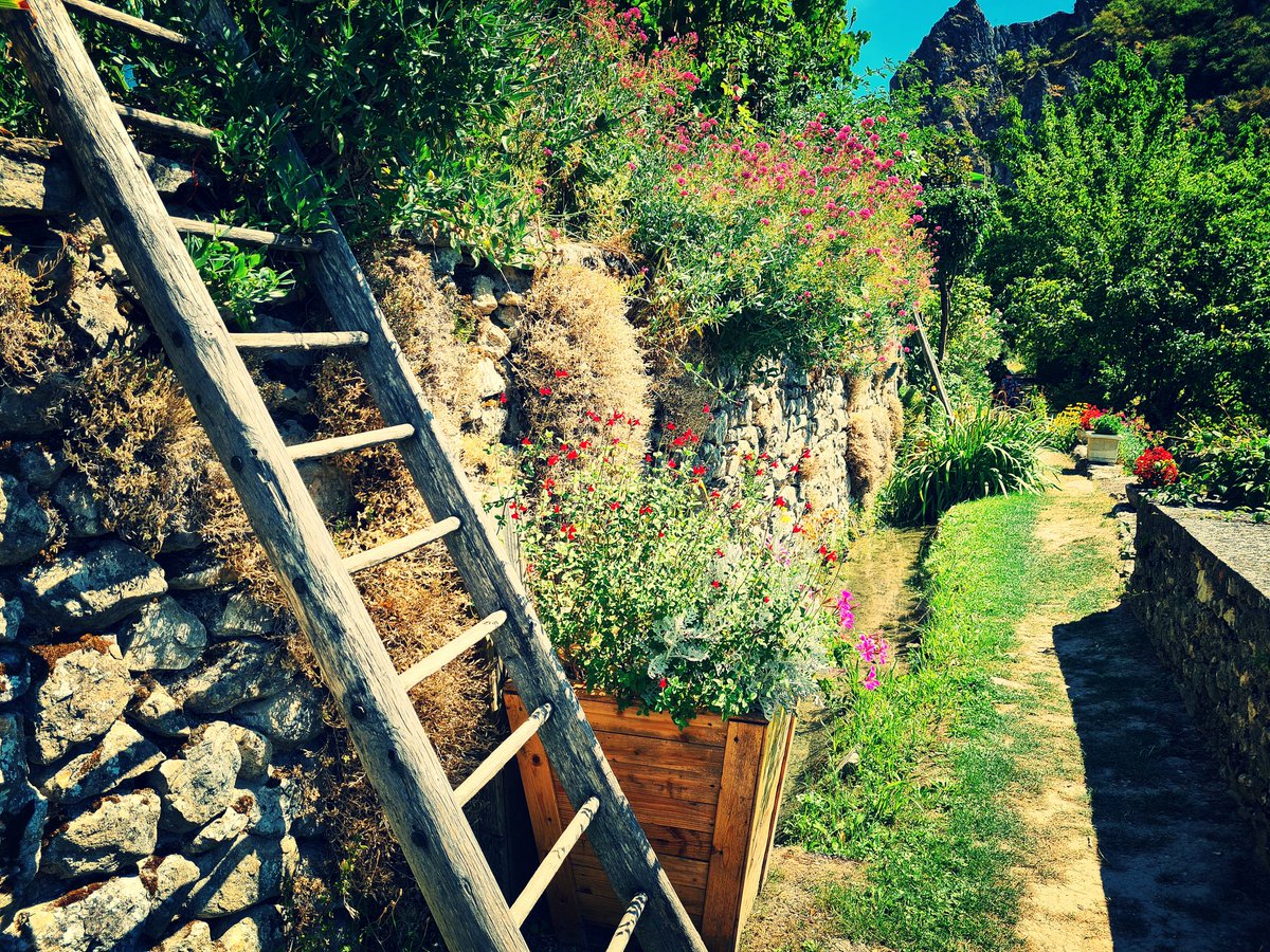 BogossFlo's tweet photo. #Auvergne #Vacances https://t.co/kv1baWxiMk