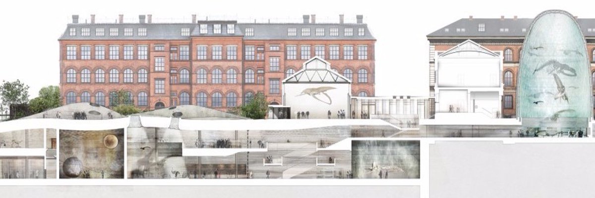 JOB OPPORTUNITY: We are looking for 2 excellent collection managers in geology and vertebrate zoology @NHM_Denmark. The most exciting time to join us while we build a new home for natural history in Copenhagen Links: lnkd.in/eYKeqWiU lnkd.in/ebM6KEhA