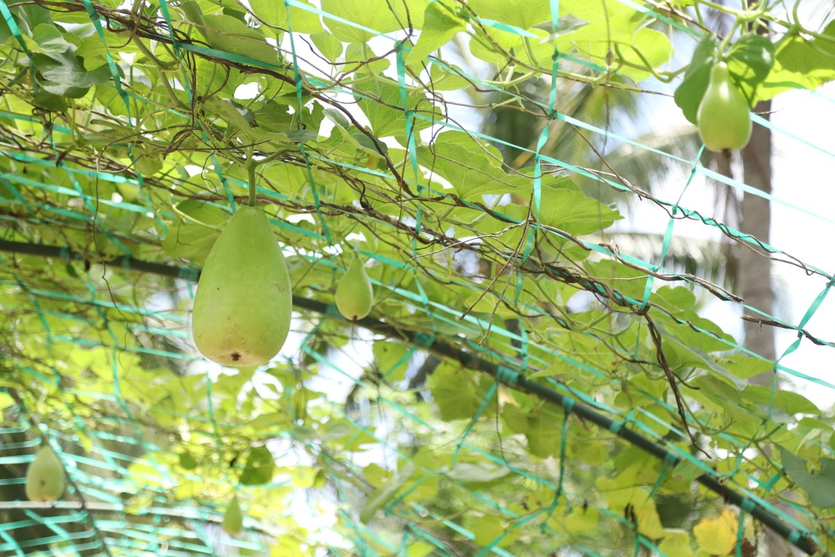 FedLocalGov tweet media