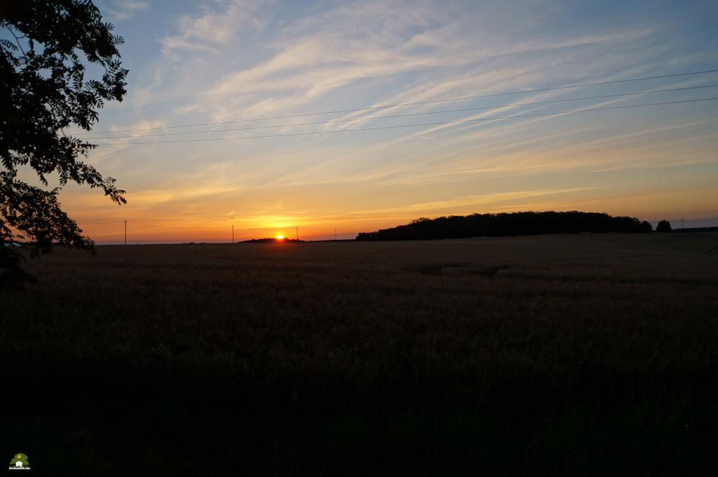 harzlandlife's tweet photo. Sonnenaufgang im Harz #harzlandlife https://t.co/g7b4ga0mLu