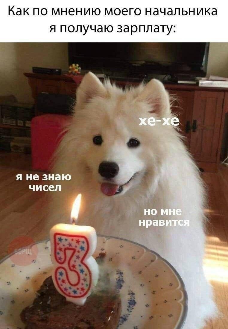 Могут вообще ветку дать!