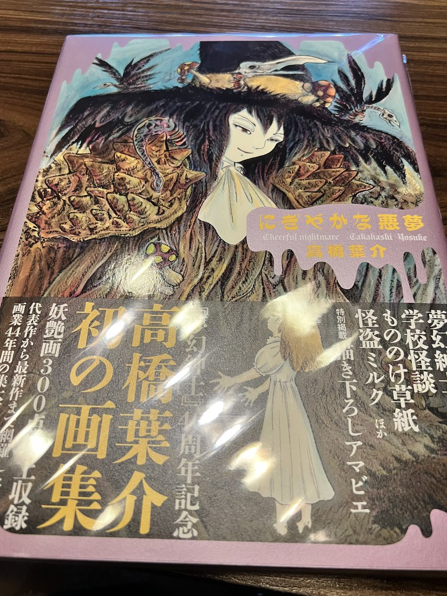 にぎやかな悪夢と高橋葉介先生特集本セット にぎやかな悪夢と高橋葉介先生特集本セット 高橋葉介原画展