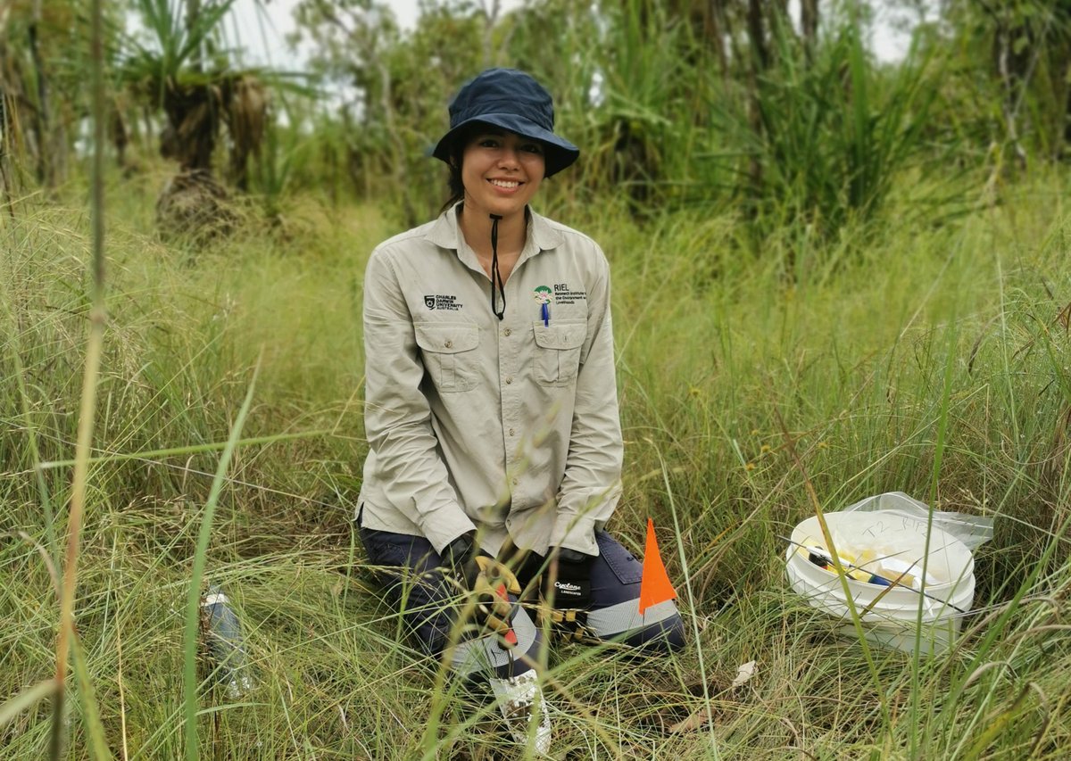 🐜 Did you know Ants and termites can be used as indicators of environmental rehabilitation? Read more: go.cdu.edu.au/fama

Interested in making your own research impact? Study a Higher Degree by Research at CDU. Apply now: bit.ly/3vQljsU
