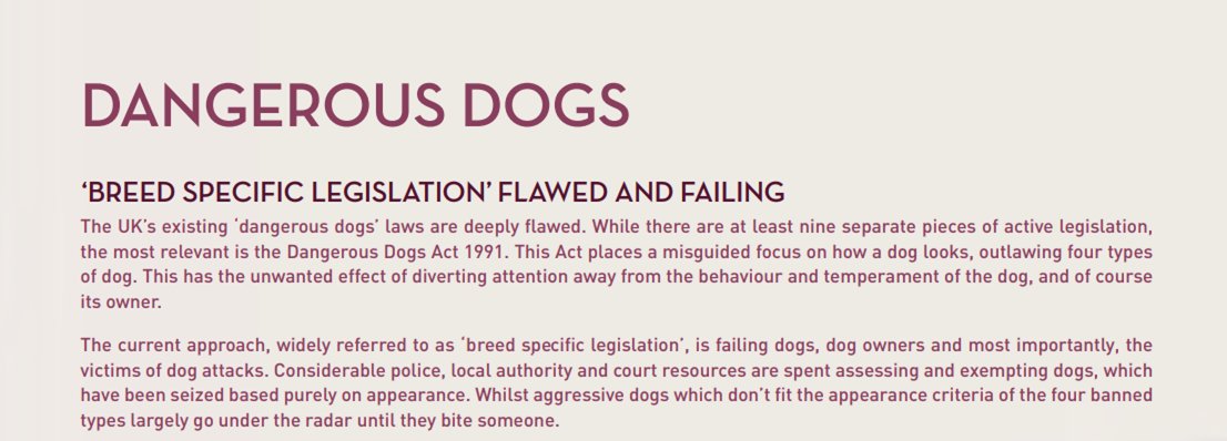 KC_political's tweet image. Don’t judge a book by its cover. Don’t judge a dog by its looks. 

31 years later breed-specific legislation is still failing to protect against dog attacks and continues to fail the nation's dogs.

It's time for change.

#EndBSL #EndBreedSpecificLegislation