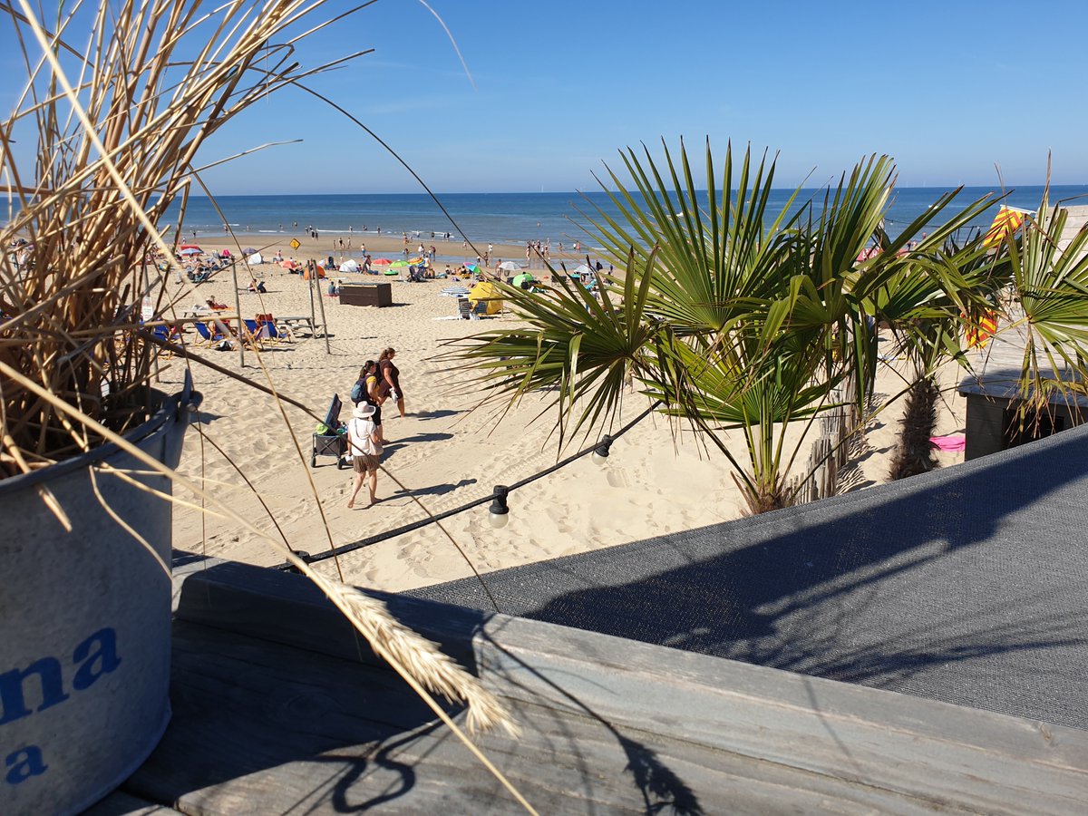 Eric Lee 🍥 tweet media