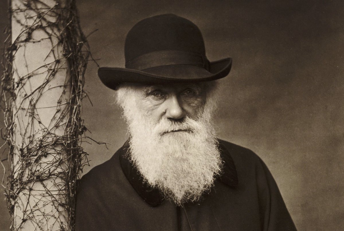 MehmetRaga's tweet photo. @OwangeToshiro @owangenft The most legendary inventor for me is Charles Robert Darwin. He claimed that all living species, including humans, evolved from one or more common ancestors through natural selection, and presented a lot of evidence to support this theory, according to the conditions of the day🤠 https://t.co/Pb3bN96ayp