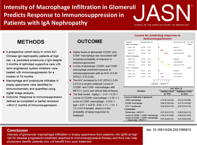 ckd_ce's tweet photo. 32a) C is correct because:
👉#UPCR = unreliable marker of activity in chronic #IgAN. Gold standard: repeat biopsy, showing, e.g.,
👉No of glom. CD206+ macrophages: 40-fold ↑probability to respond to steroids, as per
https://t.co/RqD6Uup2id
(cont) https://t.co/qgWg6MC7oH