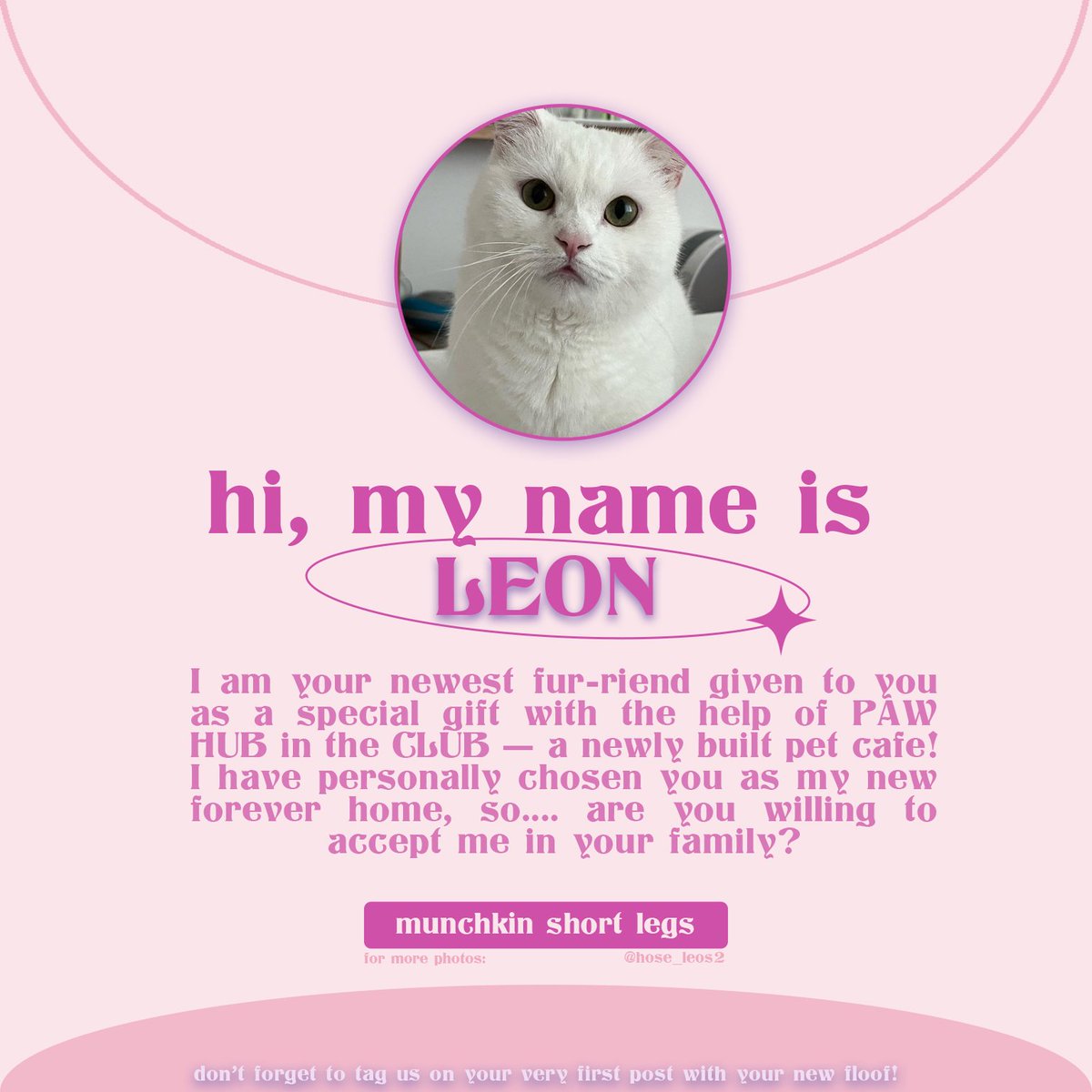 ₍ᵔ•ᴗ•ᵔ₎ tweet media