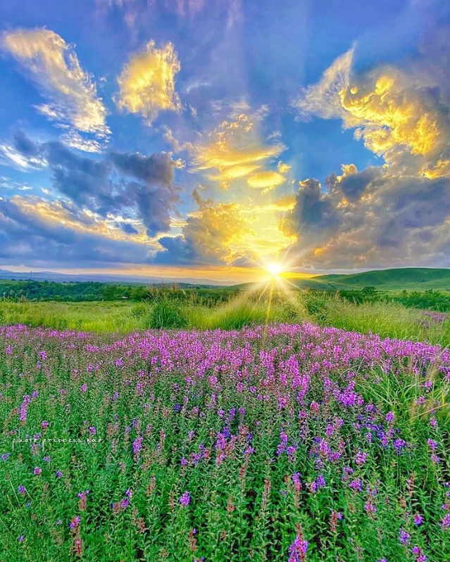 Anastasia45109's tweet photo. #naturelovers https://t.co/6uvz5GcDcK