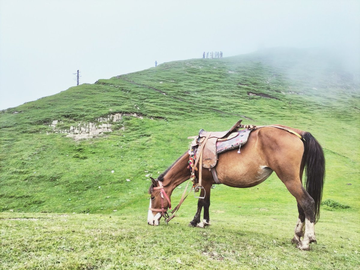 IamVagus's tweet photo. Presenting you the beauty of Azad Kashmir ❤️ https://t.co/Q8DzCpBI6x