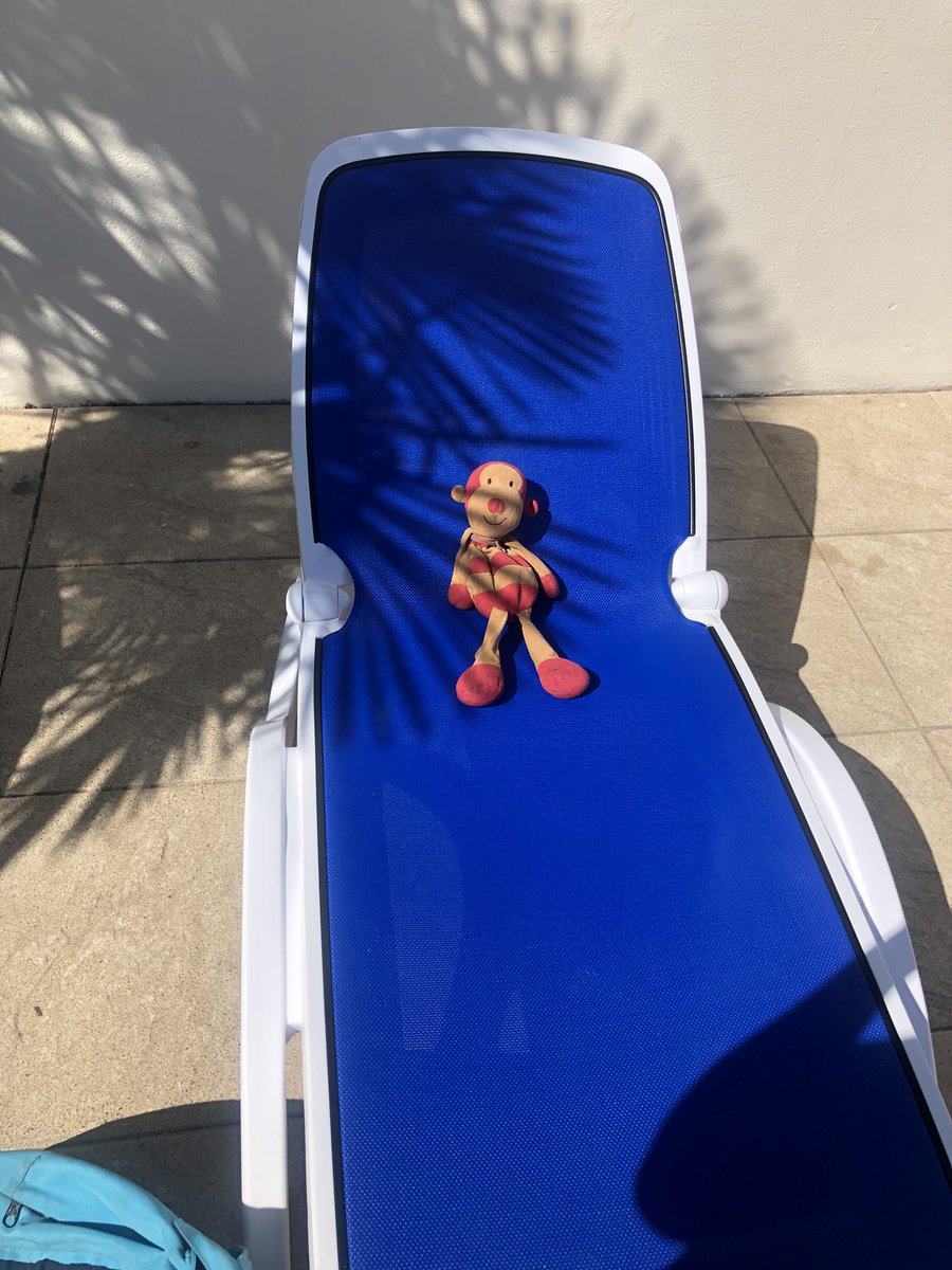 Joanna King tweet media