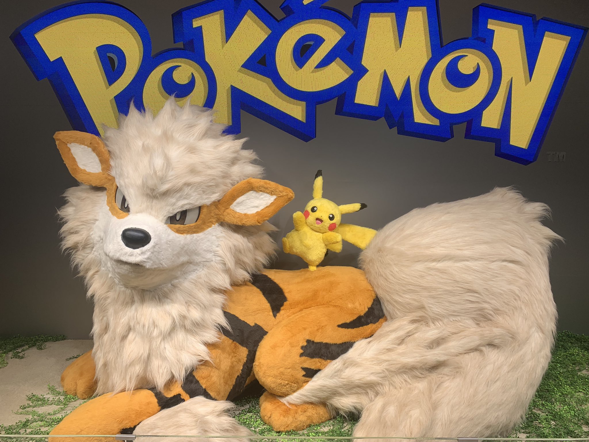 ポケモン三線 ポケモンセンターオキナワ Motopower Com Ec
