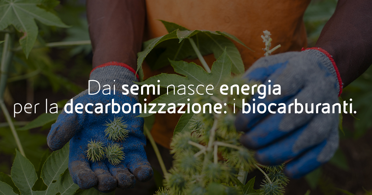 Dai semi alle bioraffinerie. Un modello unico di integrazione verticale per la produzione di biocarburanti che rappresenta a pieno la trasformazione che stiamo vivendo verso una #JustTransition. Leggi qui 👉 bit.ly/3bzr7Rq