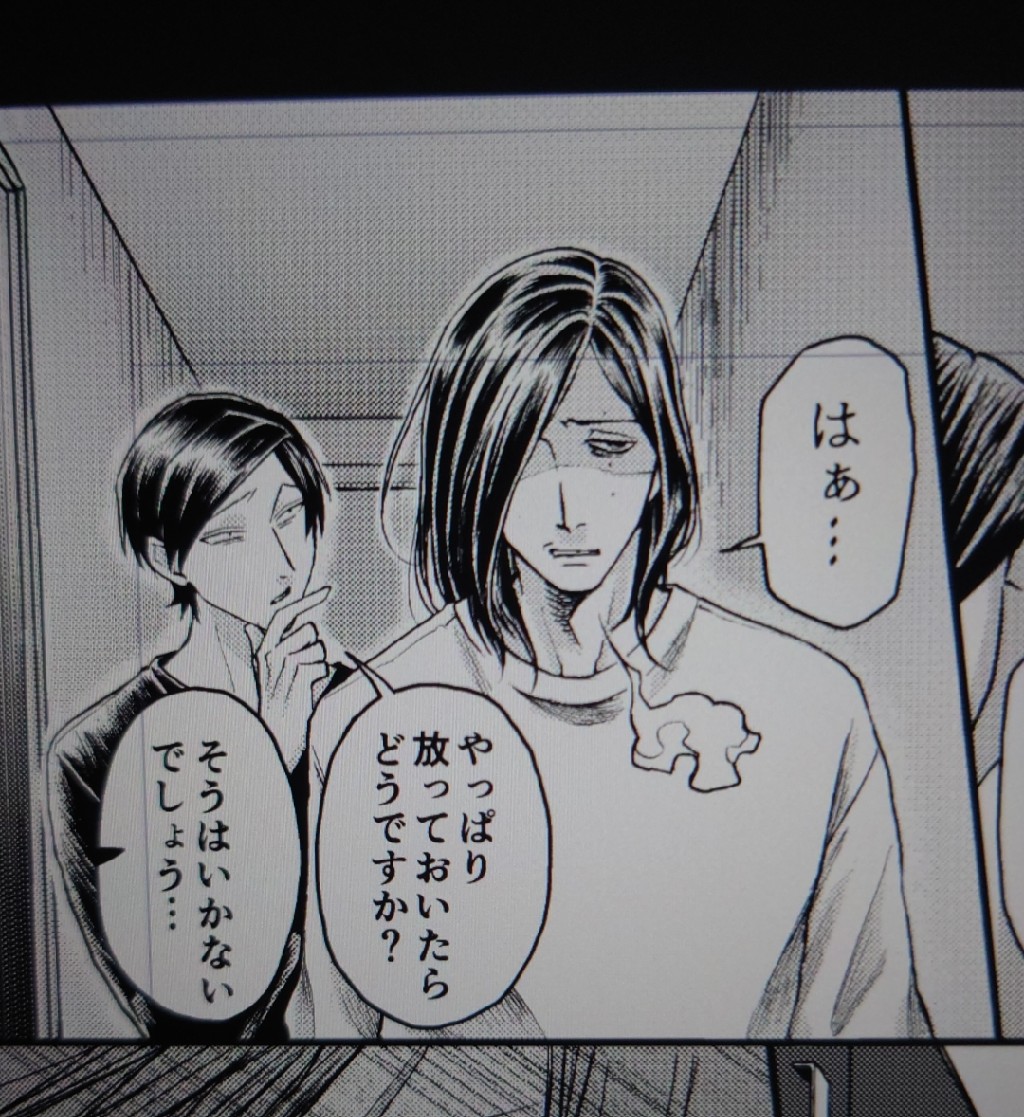 え…………漫画じゃん………… 