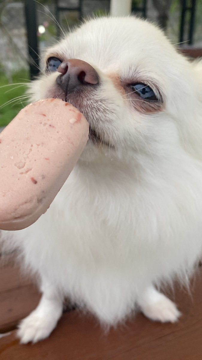 bappurisfree's tweet image. 부드럽구.,,. 시원하구.,,.