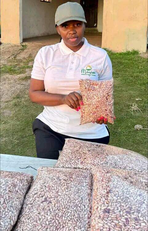 "  My name is Bongiwe Mchunu (29) and I am a self-taught farmer 🌾👩🏽‍🌾, based in KZN Eshowe. I am producing butternut , sugar beans, and oyster mushrooms
I do business between Eshowe and Durban. My details are as follows: 
Phone number:0735842468
Instagram:@mayine_agrifarming_as
..