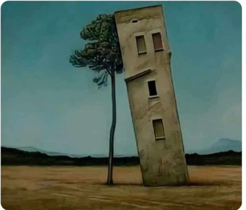 HareemFatima0's tweet photo. This Building was me.
And this tree is my mother❤ https://t.co/40jBCcsiYx
