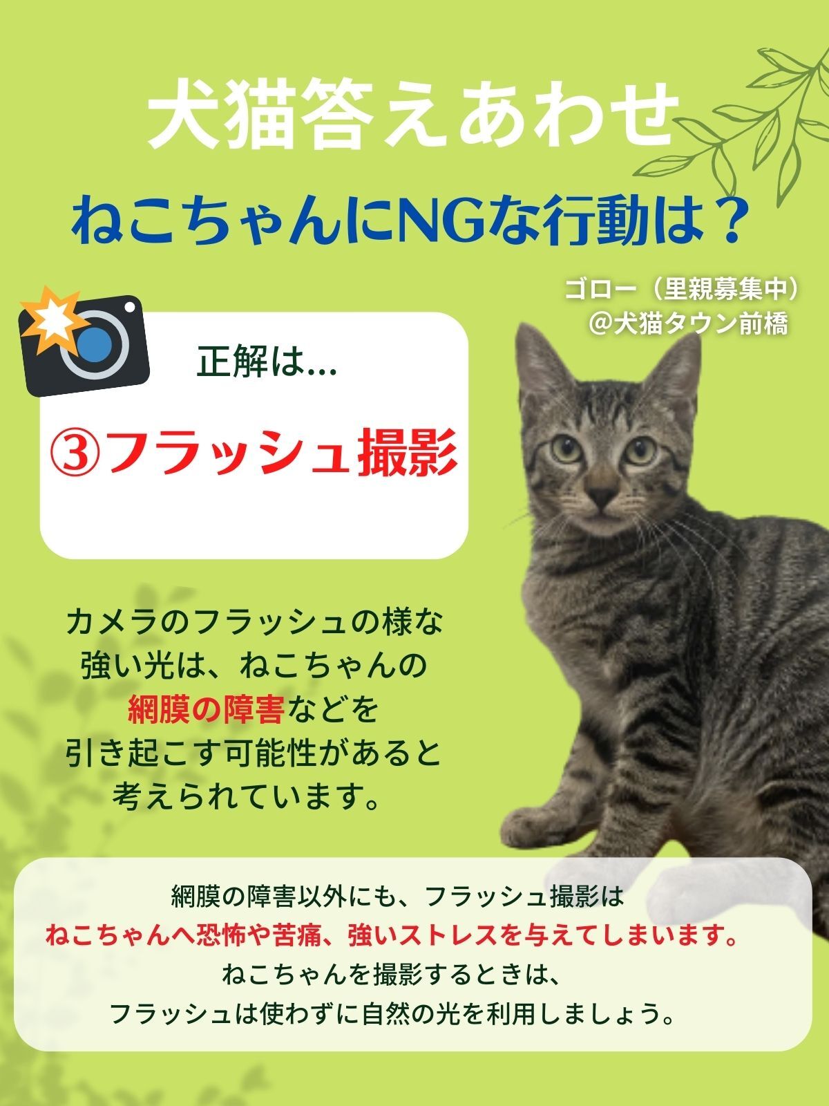 のん 1vgvsh2ma8mwrlc Twitter
