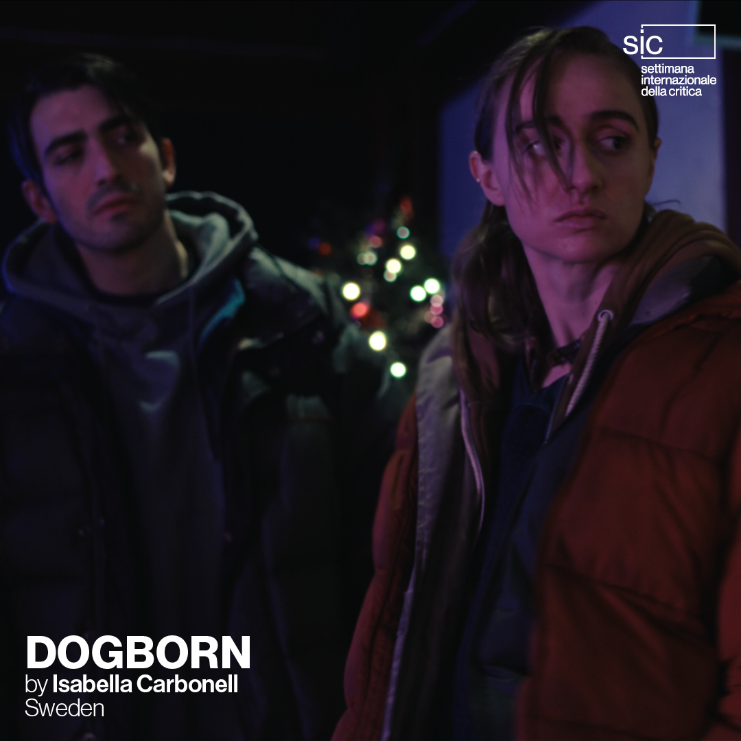 SicVeneziaSNCCI's tweet photo. For two drifters, an easy job turns into a dangerous affair: how far will they go for a chance at a better life? A powerful and haunting film about a brother and a sister trying to find their place in the world. #incompetition #SIC37 #dogborn #IsabellaCarbonell #SilvanaImam https://t.co/ZDw2rYqjbn