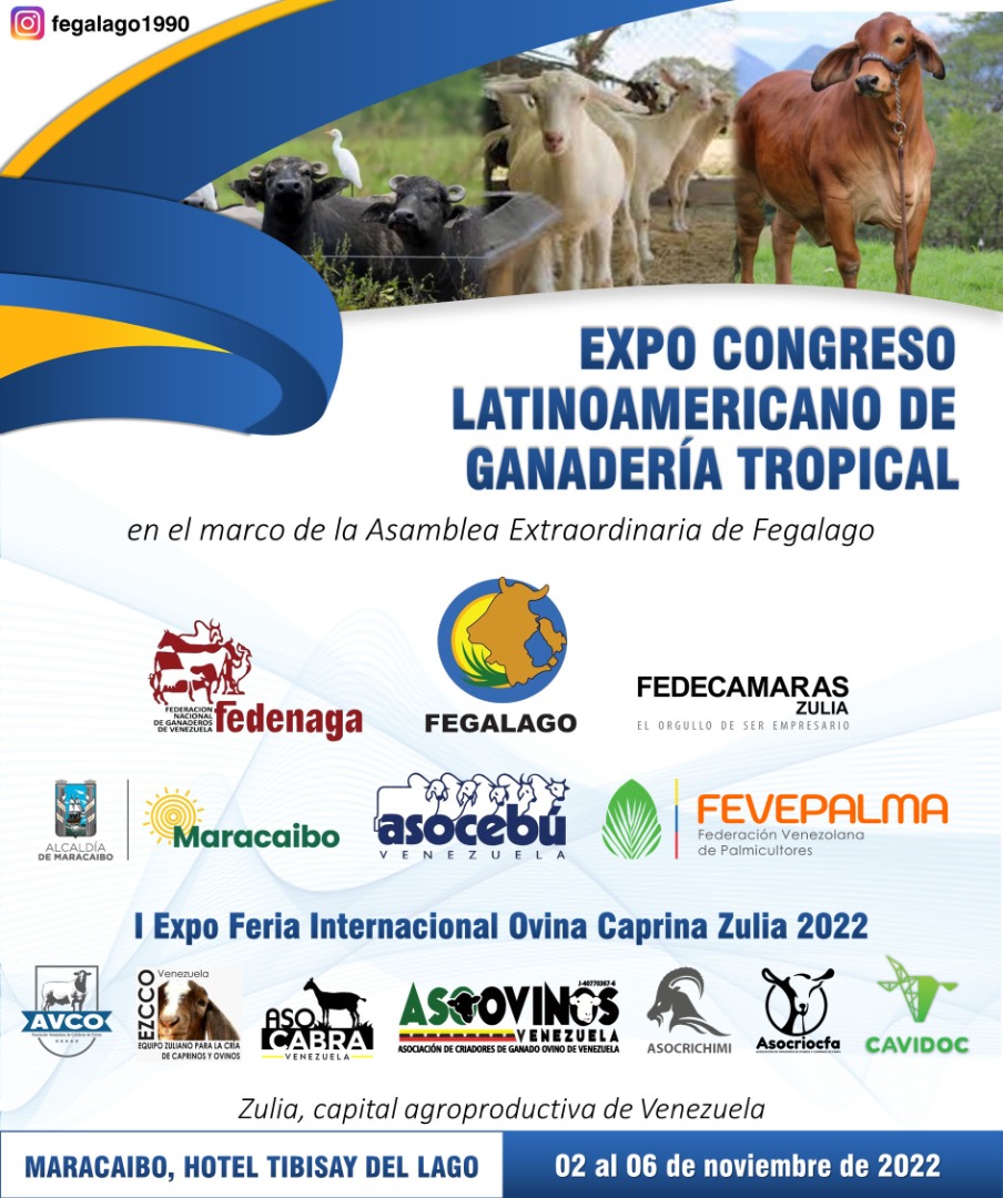 FEGALAGO <a href="/fegalago/">FEGALAGO</a> en el marco de su Asamblea Extraordinaria invita al "Expo Congreso Latinoamericano de Ganadería Tropical" a realizarse en el Tibisay Hotel del Lago #Maracaibo del 02 al 06 de noviembre conjuntamente con la "I Expo Feria Internacional Ovina y Caprina Zulia 2022"